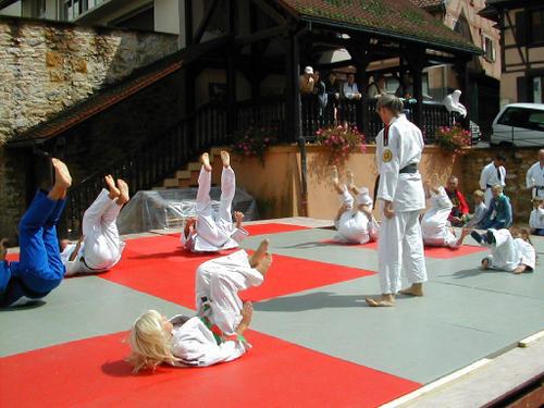 aikido-sundgau-article-gala-2006-11