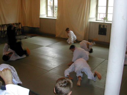 aikido-sundgau-article-gala-2006-39