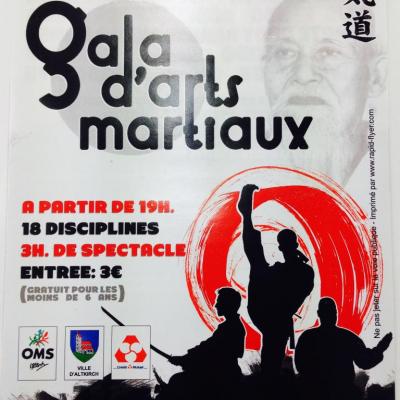 Gala des Arts Martiaux d'ALTKIRCH - 2016