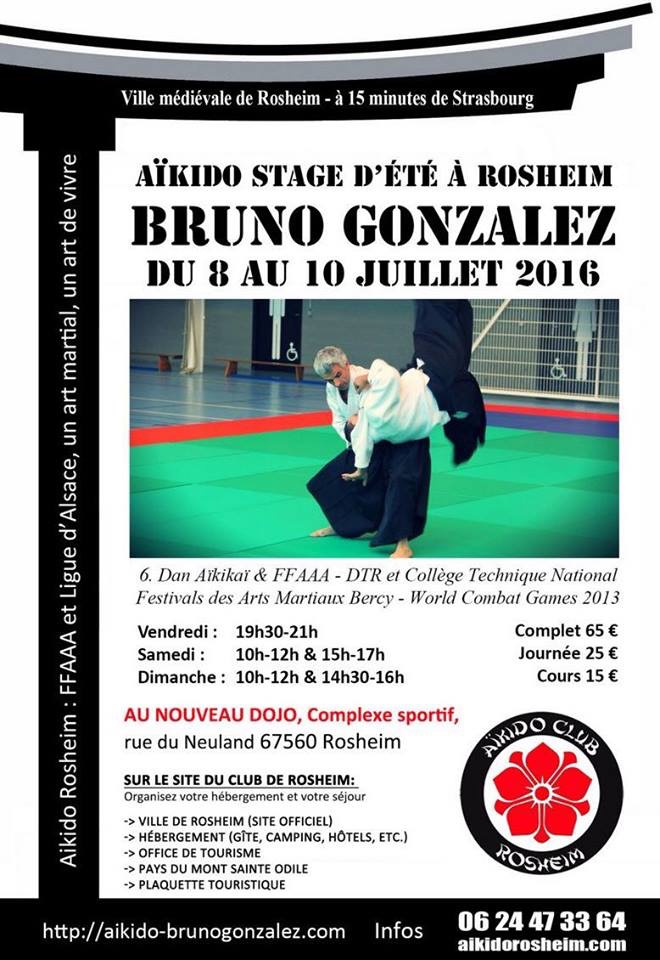 Stage d'aikido ROSHEIM - 8 au 19 Juillet 2016 - 12