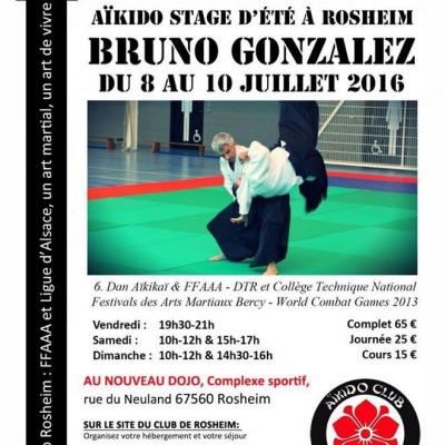 Stage d'aikido ROSHEIM - 8 au 19 Juillet 2016 - 12