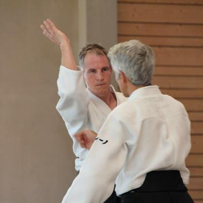 Stage d'aikido ROSHEIM - 8 au 19 Juillet 2016 - 11