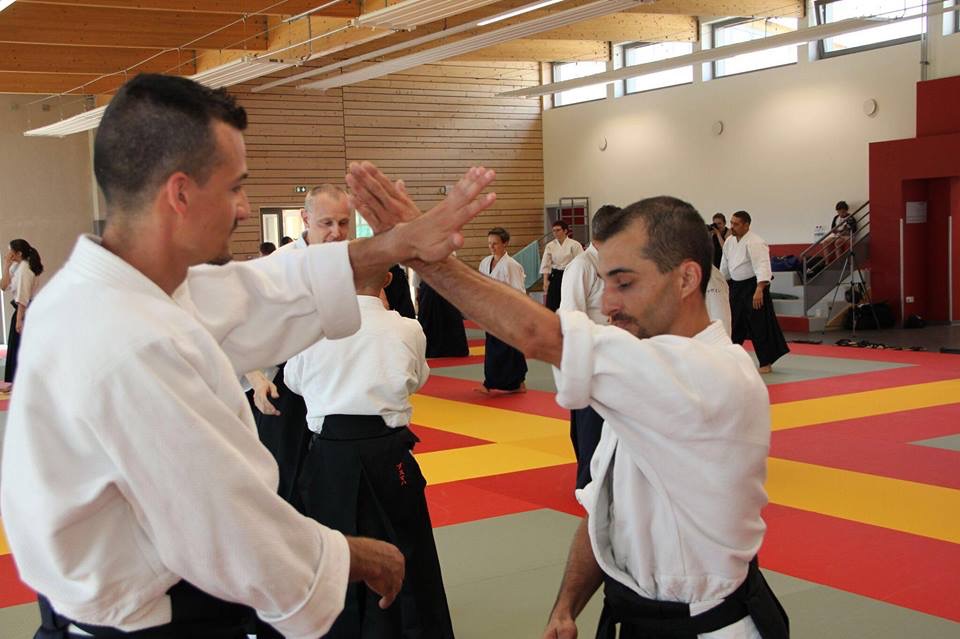 Stage d'aikido ROSHEIM - 8 au 19 Juillet 2016 - 10