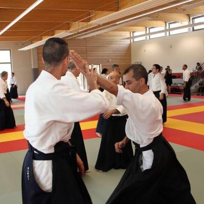 Stage d'aikido ROSHEIM - 8 au 19 Juillet 2016 - 5