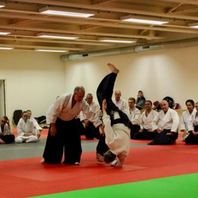 Interclubs à RIXHEIM - vendredi 20 janvier 2017 - 43